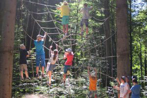 Ein Seil-Netz ist zwischen zwei Bäumen gespannt. Mehrere Kinder klettern daran hoch.